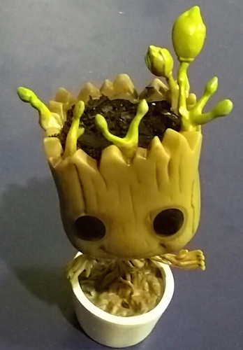 Chia Groot